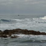 Playas de Rosarito El Delfín