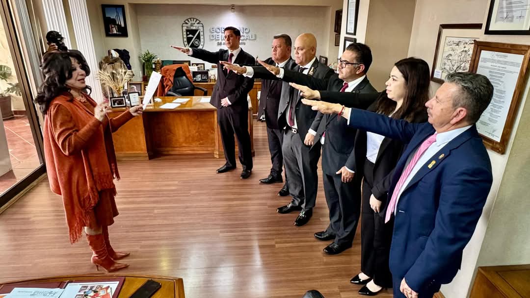 オーランドカスティージョは、ボックス、ルチャ、メキシカリの総合格闘技委員会の会長として批准されています