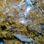 WhatsApp Image 2025-05-12 at 10.16.08 AM (3)