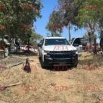 WhatsApp Image 2025-06-10 at 2.51.25 PM (1)