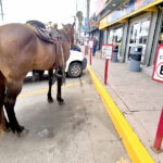 paarking oxxo, Rosarito