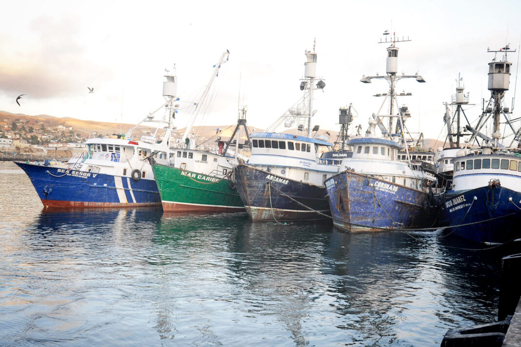 puerto de ensenada, barcos pesca