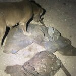 WhatsApp Image 2025-08-18 at 6.02.27 PM (1)