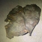 WhatsApp Image 2025-08-18 at 6.02.27 PM (3)