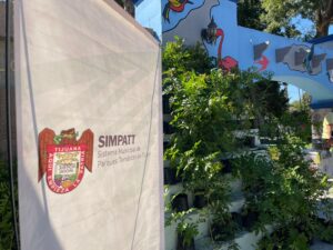 Vivero Simpat Tijuana Foto Dayana