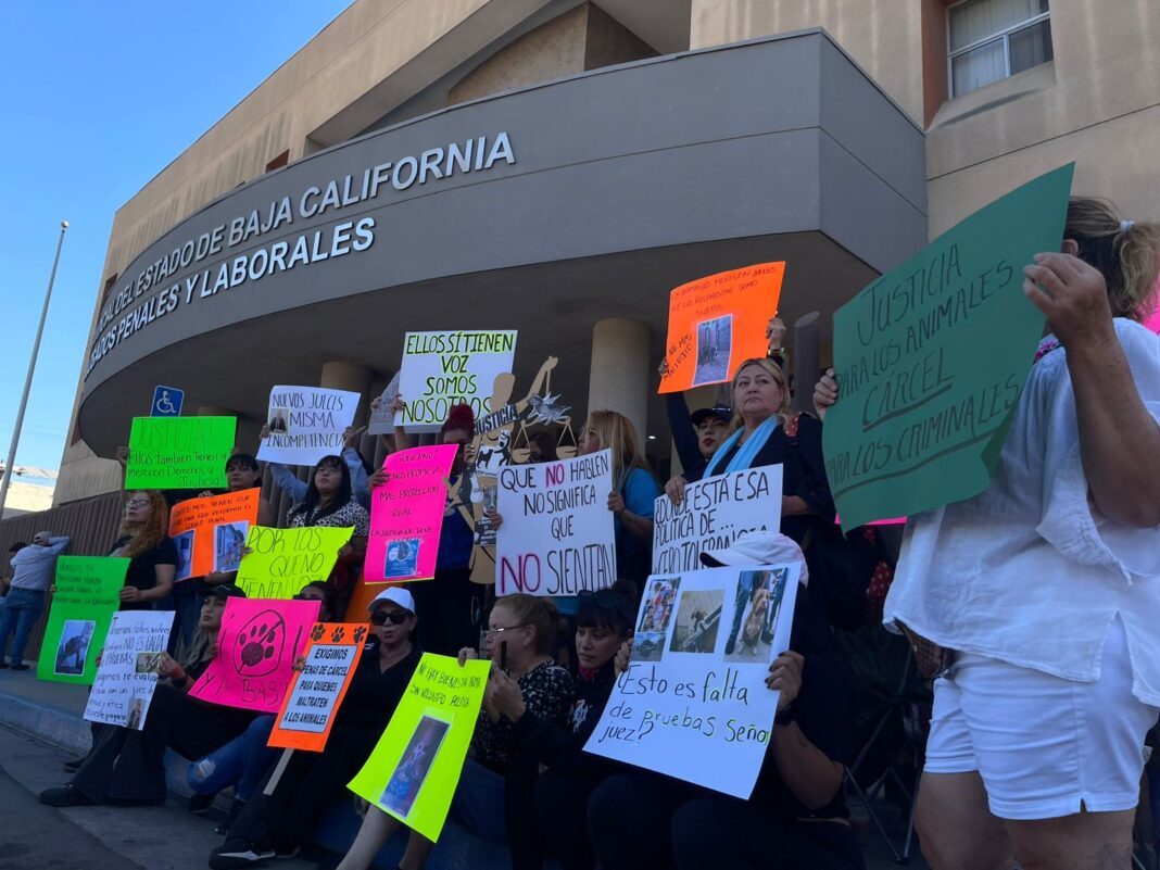 WhatsApp Image 2025-10-29 at 2.26.57 PM (1)