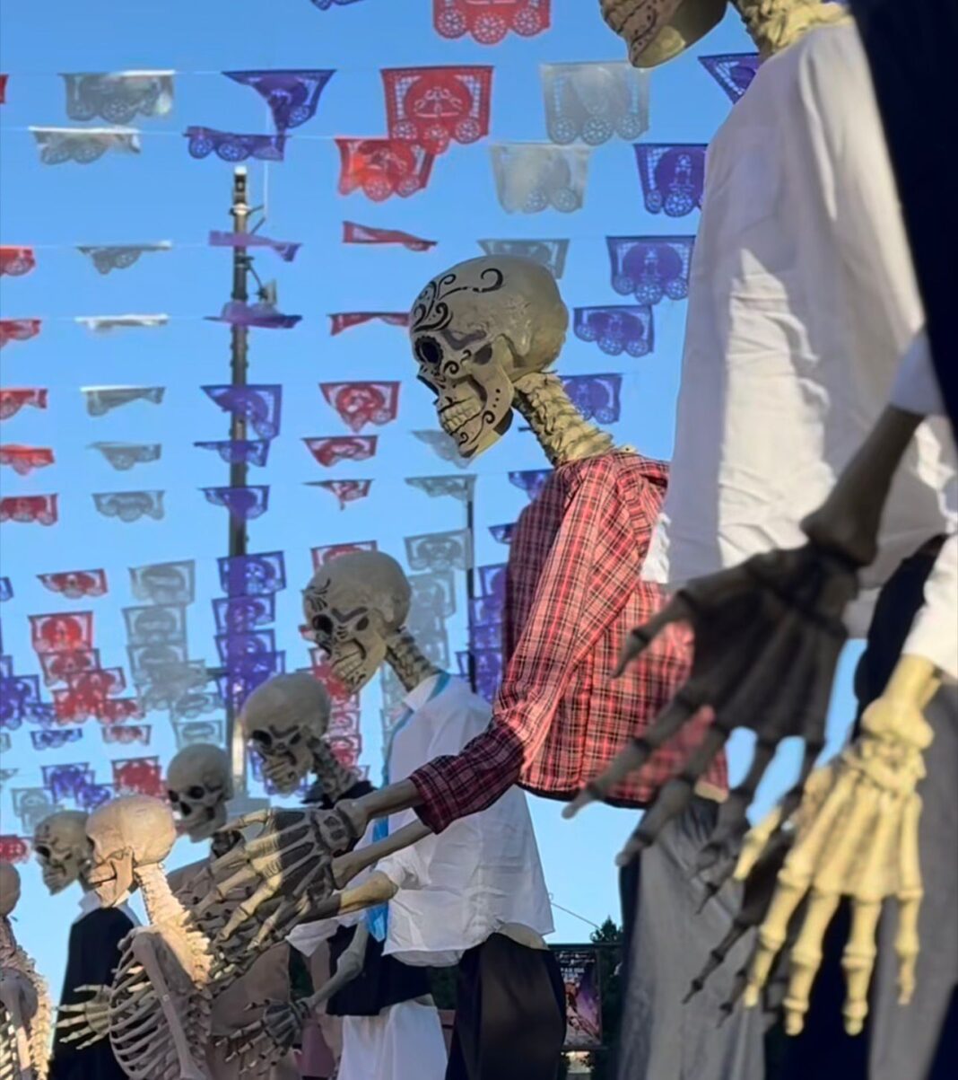 WhatsApp Image 2025-10-30 at 11.13.01 PM