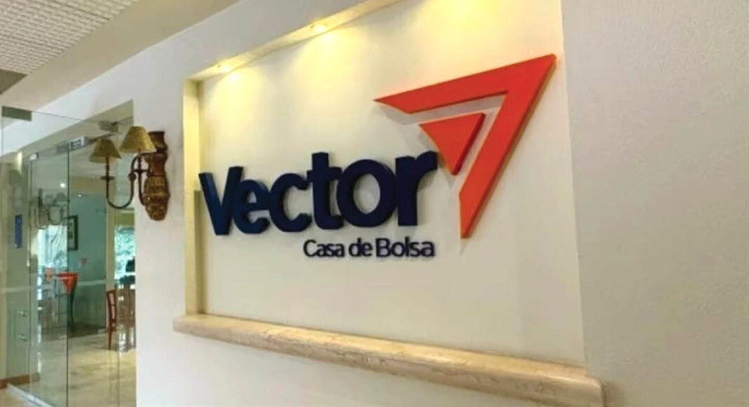 vector-negocioz