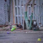 Joven asesinado