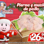 NAVIDAD 300X250 (19 DICIEMBRE AL 25 DICIEMBRE)