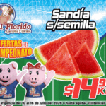 GIF 300X250 MUNDIAL (10 JULIO AL 16 JULIO) (2)