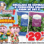 GIF 300X250 VERANO (24 JULIO AL 30 JULIO)