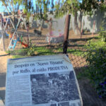 IMG-20260708-WA0315