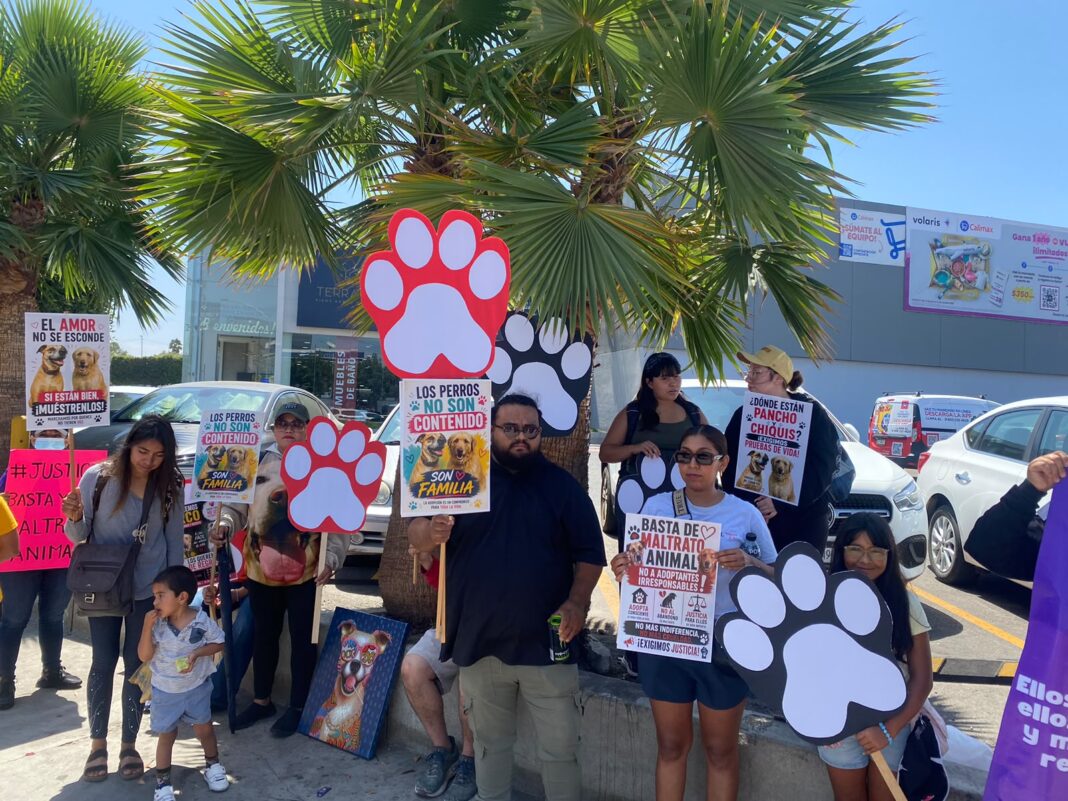 Protesta paradero de mascotas adoptadas Foto Ruben Vazquez